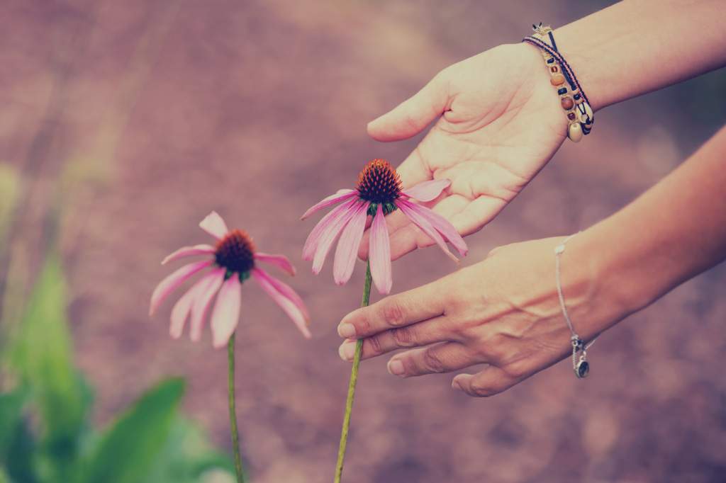handen met bloem